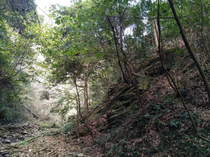 安徽“小豌豆”来了,他们热情守护