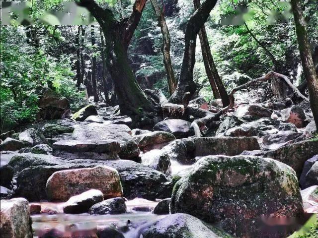 点赞就能挣钱？小心落入诈骗陷阱