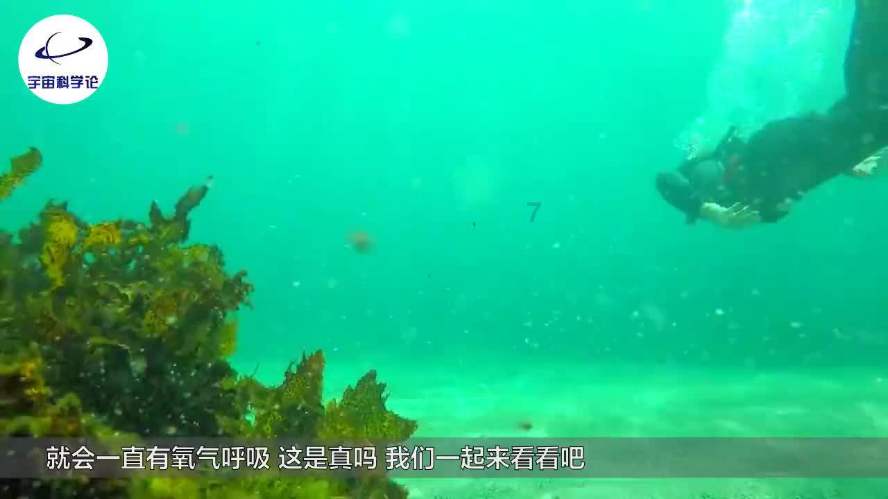 蓝狐视频