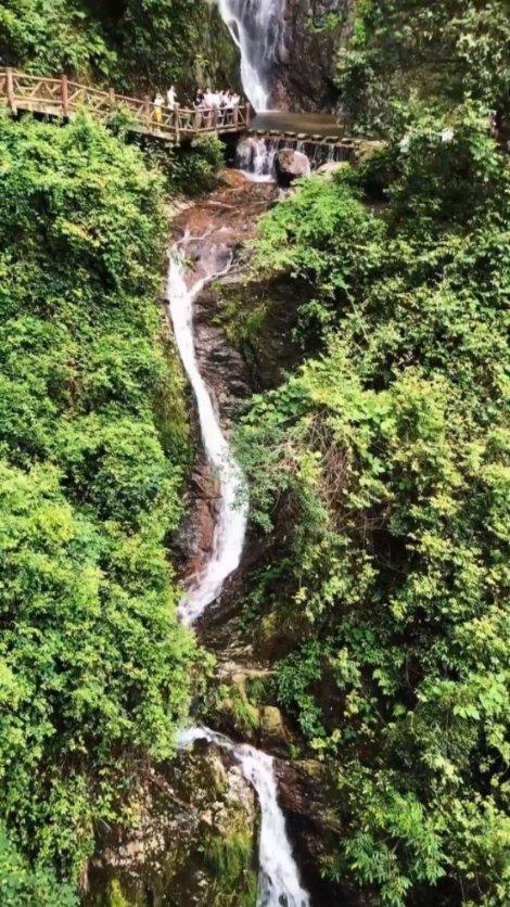 小猫钓鱼游戏龙王版有船